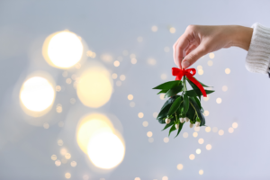 a person holding a holiday mistletoe 